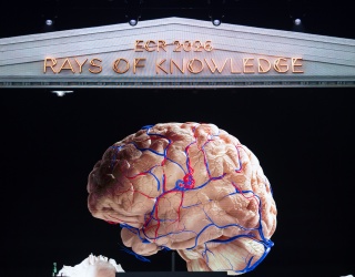 Foto: ECR 2026: „Rays of Knowledge“ rückt Wissen, KI und klinische Praxis...